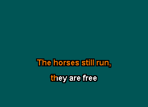 The horses still run,

they are free