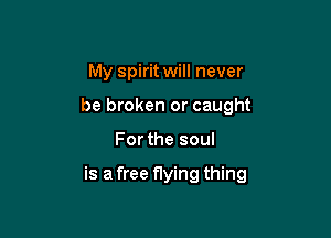 My spirit will never
be broken or caught

For the soul

is a free flying thing