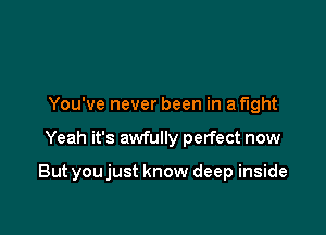 You've never been in a fight

Yeah it's awfully perfect now

Butyoujust know deep inside