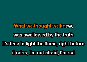 What we thought we knew,
was swallowed by the truth
It's time to light the flame, right before

it rains, I'm not afraid, I'm not