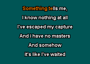 Something tells me,

lknow nothing at all

I've escaped my capture

And i have no masters
And somehow

it's like I've waited