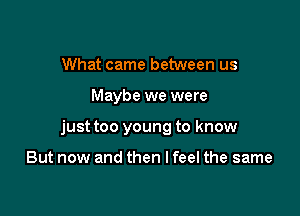 What came between us

Maybe we were

just too young to know

But now and then I feel the same