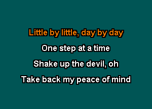 Little by little, day by day

One step at a time
Shake up the devil, oh

Take back my peace of mind