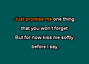 Just promise me one thing

that you wonT forget

But for now kiss me softly

before I say