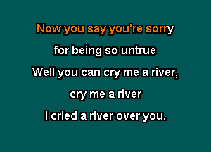 Now you say you're sorry

for being so untrue

Well you can cry me a river,

cry me a river

I cried a river over you.