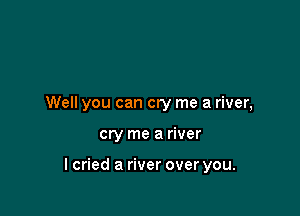 Well you can cry me a river,

cry me a river

lcried a river over you.