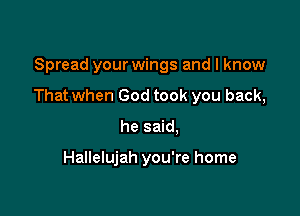 Spread your wings and I know

That when God took you back,

he said.

Hallelujah you're home
