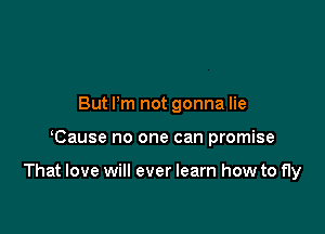 But Pm not gonna lie

Cause no one can promise

That love will ever learn how to fly