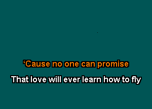 Cause no one can promise

That love will ever learn how to fly