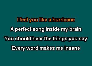 I feel you like a hurricane
A perfect song inside my brain
You should hear the things you say

Every word makes me insane