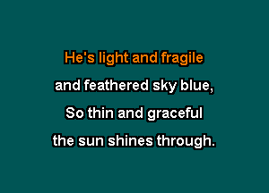He's light and fragile
and feathered sky blue,

80 thin and graceful

the sun shines through.