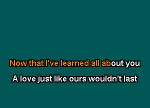 Now that I've learned all about you

A Iovejust like ours wouldn't last