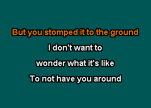 But you stomped it to the ground
I don't want to

wonder what it's like

To not have you around