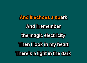 And it echoes a spark
And I remember

the magic electricity

Then I look in my heart

There's a light in the dark