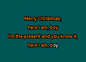 Merry Christmas,

here I am, boy

I'm the present and you know it,

here I am. boy