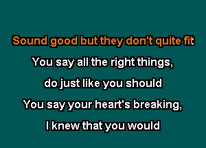 Sound good but they don't quite fit
You say all the right things,
dojust like you should
You say your heart's breaking,

I knew that you would