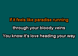 If it feels like paradise running

through your bloody veins

You know it's love heading your way