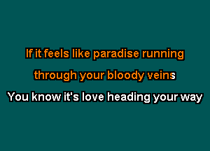 If it feels like paradise running

through your bloody veins

You know it's love heading your way