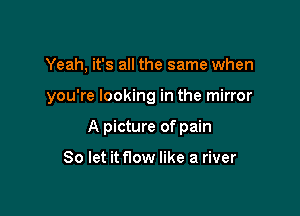 Yeah, it's all the same when

you're looking in the mirror

A picture of pain

So let it flow like a river