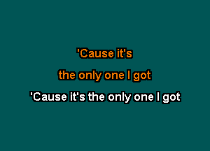 'Cause it's

the only one I got

'Cause it's the only one I got