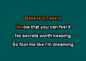 Believe it, I see it
I know that you can feel it

No secrets worth keeping

So fool me like I'm dreaming