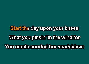 Start the day upon your knees

What you pissin' in the wind for

You musta snorted too much blees