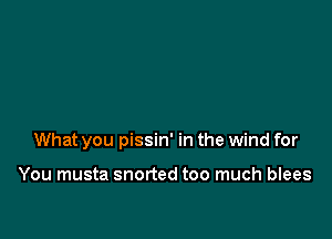 What you pissin' in the wind for

You musta snorted too much blees