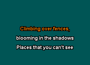 Climbing over fences,

blooming in the shadows

Places that you can't see