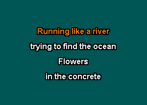Running like a river

trying to fund the ocean
Flowers

in the concrete