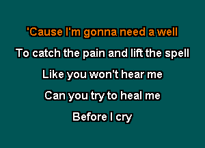 'Cause I'm gonna need a well

To catch the pain and lift the spell

Like you won't hear me
Can you try to heal me

Before I cry