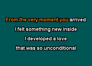 From the very moment you arrived

I felt something new inside
ldeveloped a love

that was so unconditional