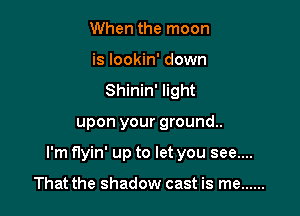 When the moon
is lookin' down
Shinin' light

upon your ground.

I'm flyin' up to let you see....

That the shadow cast is me ......