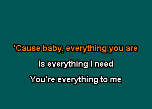 'Cause baby, everything you are
Is everything I need

You're everything to me