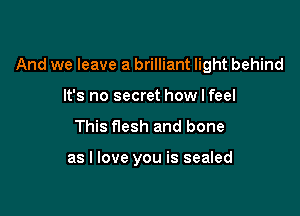 And we leave a brilliant light behind

It's no secret how I feel
This flesh and bone

as I love you is sealed