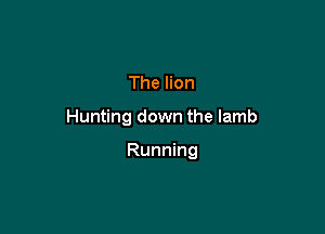 The lion

Hunting down the lamb

Running