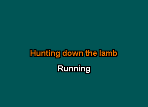 Hunting down the lamb

Running