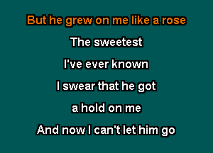 But he grew on me like a rose
The sweetest
I've ever known
I swear that he got

a hold on me

And nowl can't let him go