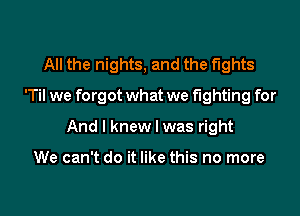 All the nights, and the fights
'Til we forgot what we fighting for

And I knew I was right

We can't do it like this no more