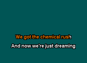 We got the chemical rush

And now we'rejust dreaming