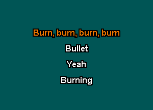 Burn, burn, burn, burn
Bullet
Yeah

Burning