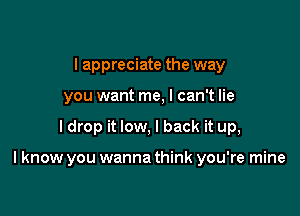 I appreciate the way
you want me, I can't lie

I drop it low, I back it up,

I know you wanna think you're mine