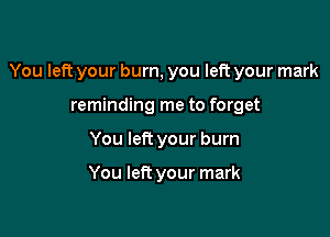 You left your burn, you left your mark

reminding me to forget
You left your burn

You left your mark