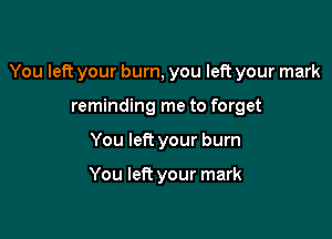 You left your burn, you left your mark

reminding me to forget
You left your burn

You left your mark