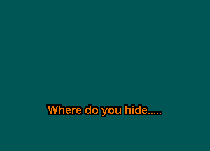 Where do you hide .....
