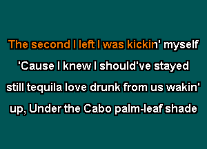 The second I left I was kickin' myself
'Cause I knew I should've stayed
still tequila love drunk from us wakin'

up, Under the Cabo paIm-Ieaf shade