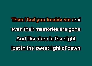 Then I feel you beside me and
even their memories are gone
And like stars in the night

lost in the sweet light of dawn