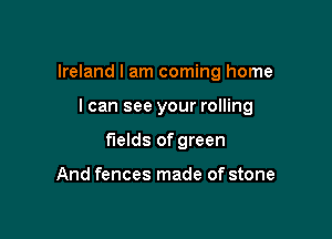 Ireland I am coming home

I can see your rolling
fields of green

And fences made of stone