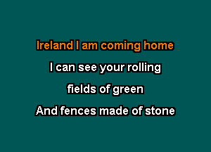 Ireland I am coming home

I can see your rolling
fields of green

And fences made of stone