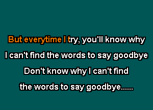 But everytime I try, you'll know why
I can't find the words to say goodbye
Don't know why I can't find

the words to say goodbye ......