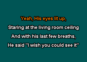 Yeah, His eyes lit up,

Staring at the living room ceiling

And with his last few breaths,

He said I wish you could see it